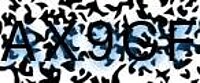 grafischer Sicherheitscode
