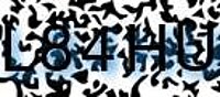 grafischer Sicherheitscode