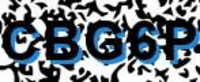 grafischer Sicherheitscode